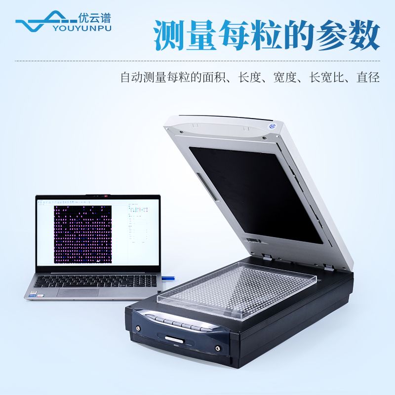 大米外觀品質檢測儀